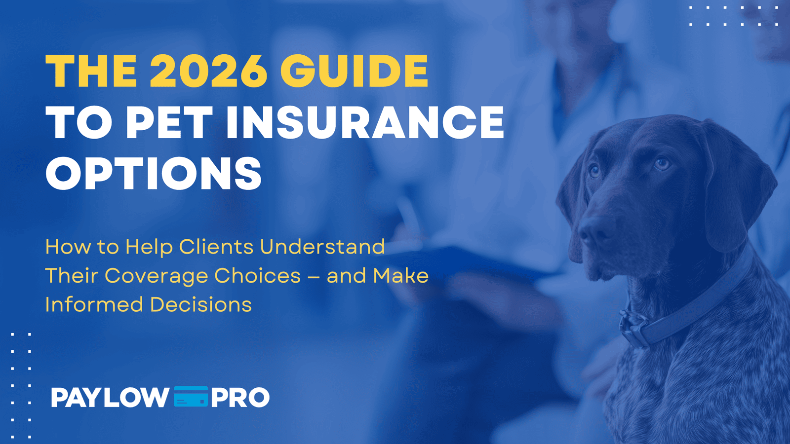 The 2026 Veterinary Office Guide to Pet Insurance Options